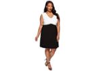 Adrianna Papell Plus Size Color Blocked Banded Fit And Flare (black/ivory) Women's Dress