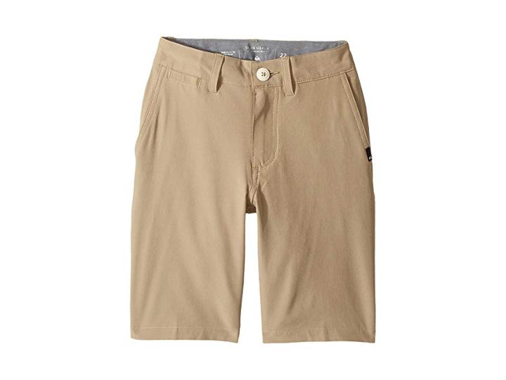 Quiksilver Kids Union Amphibian Shorts (big Kids) (elmwood) Boy's Shorts