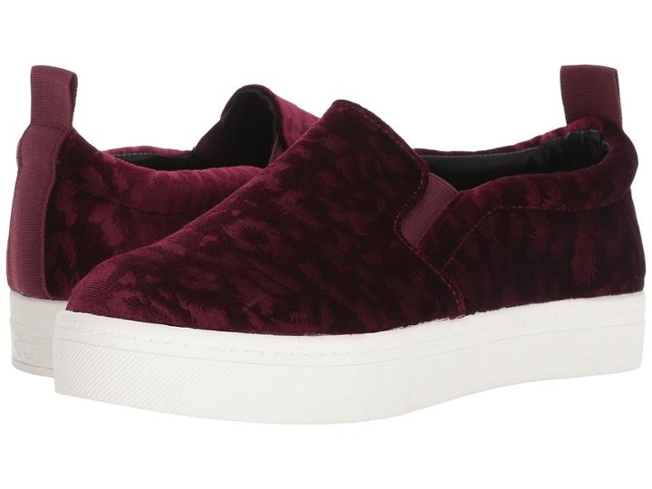 Circus By Sam Edelman Scotlyn (wine Animal Spot Velvet) Women's Shoes