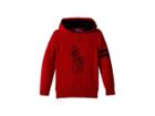 Polo Ralph Lauren Kids Big Pony Merino Wool Hoodie (little Kids/big Kids) (park Avenue Red) Boy's Sweater