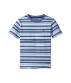 Tommy Hilfiger Kids Mariner Tee (toddler/little Kids) (surf The Web) Boy's T Shirt