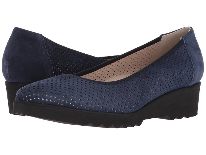 Cordani Armel (navy Suede) Women's Flat Shoes