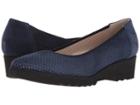 Cordani Armel (navy Suede) Women's Flat Shoes