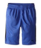 Puma Kids Form Stripe Shorts (big Kids) (royal) Boy's Shorts