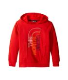 The North Face Kids Logowear Pullover Hoodie (little Kids/big Kids) (high Risk Red (prior Season)) Boy's Sweatshirt