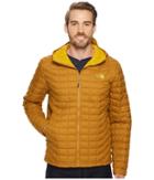The North Face Thermoball Hoodie (golden Brown Matte) Men's Coat