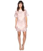 Taylor Embroidered Chemical Lace Dress (peach) Women's Dress