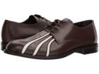 Marni Seamed Oxford (dark Brown/white) Men's Shoes