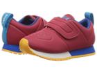 Native Kids Shoes Cornell Hl Ct (toddler/little Kid) (ski Patrol Red Ct/shell White/victoria Blue/beanie Rubber) Kids Shoes