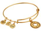 Alex And Ani Life Preserver Charm Bangle (rafaelian Gold Finish) Bracelet