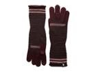 Smartwool Snow Drift Gloves (fig) Extreme Cold Weather Gloves