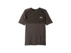 Puma Tec Sports Evoknit Tee (puma Black) Men's T Shirt