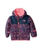 The North Face Kids Thermoball Hoodie (infant) (blue Wing Teal Leaf Print/gem Pink) Kid's Coat