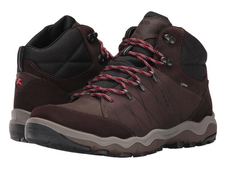 Ecco Sport Ulterra High Gore-tex (mocha/coffee) Men's Shoes