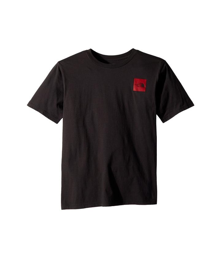 The North Face Kids Short Sleeve Graphic Tee (little Kids/big Kids) (graphite Grey/tnf Red/tnf Red) Boy's Clothing