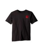 The North Face Kids Short Sleeve Graphic Tee (little Kids/big Kids) (graphite Grey/tnf Red/tnf Red) Boy's Clothing