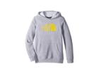 The North Face Kids Logowear Pullover Hoodie (little Kids/big Kids) (tnf Light Grey Heather/canary Yellow (prior Season)) Boy's Sweatshirt
