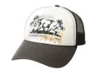Billabong Retro Bear Hat (charcoal) Baseball Caps
