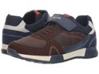 Geox Kids Alfier Boy 3 (big Kid) (brown/navy) Boy's Shoes