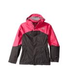 The North Face Kids Mt. View Triclimate (little Kids/big Kids) (petticoat Pink (prior Season)) Girl's Coat