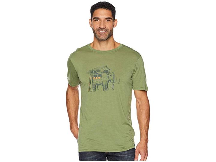 Smartwool Merino 150 Mobile Mammoth Tee (light Loden) Men's T Shirt