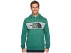 The North Face Edge To Edge Pullover Hoodie (smoke Pine) Men's Sweatshirt