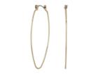 French Connection Oval Hoop Earrings (gold) Earring