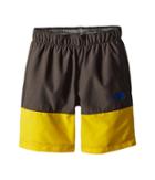 The North Face Kids Class V Water Shorts (little Kids/big Kids) (canary Yellow Phantom Print/graphite Grey/turkish Sea) Boy's Shorts