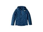 The North Face Kids Thermoball Hoodie (little Kids/big Kids) (blue Wing Teal) Girl's Coat