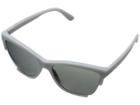 Dkny 0dy4155 (rubber Grey) Fashion Sunglasses