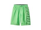 Nike Kids Logo Breaker 8 Trunk (big Kids) (green Strike) Boy's Swimwear
