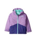 The North Face Kids Brianna Insulated Jacket (little Kids/big Kids) (bellflower Purple (prior Season)) Girl's Coat