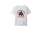 Quiksilver Kids Cali Bear Shark Tee (big Kids) (white) Boy's T Shirt