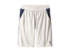 Polo Ralph Lauren Kids Color Blocked Performance Shorts (big Kids) (grey Ash Heather) Boy's Shorts