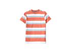 Tommy Hilfiger Kids James Stripe Crew Tee (toddler/little Kids) (fiery Coral) Boy's T Shirt