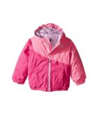 The North Face Kids Casie Insulated Jacket (toddler) (cha Cha Pink (prior Season)) Girl's Coat
