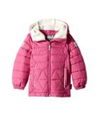Jack Wolfskin Kids Black Bear Jacket (infant/toddler/little Kids/big Kids) (fuchsia) Girl's Coat