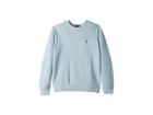 Polo Ralph Lauren Kids Spa Terry Sweatshirt (big Kids) (alpine Blue) Boy's Clothing