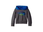 The North Face Kids Long Sleeve Hike/water Tee (toddler) (tnf Medium Grey Heather/turkish Sea) Boy's Sweatshirt