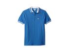 Lacoste Kids Short Sleeve Candy Stripe Croc Polo (infant/toddler/little Kids/big Kids) (wave Blue/white) Boy's Short Sleeve Pullover
