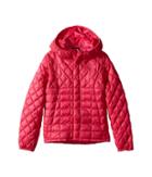 The North Face Kids Lexi Thermball Hoodie (little Kids/big Kids) (cerise Pink (prior Season)) Girl's Coat