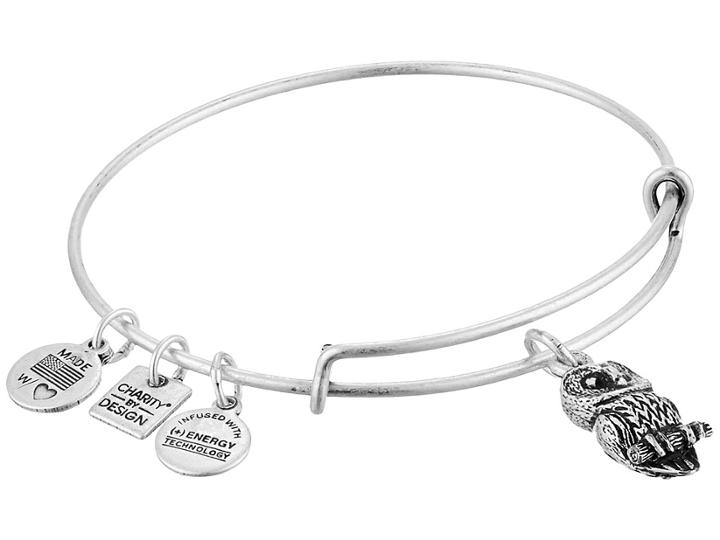 Alex And Ani Charity By Design Ode To The Owl Charm Bangle (rafaelian Silver Finish) Bracelet