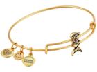 Alex And Ani Seaside Slider Mermaid Expandable Wire Bangle (rafaelian Gold Finish) Bracelet