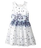 Nanette Lepore Kids Embroidered Blue Floral Dress (little Kids/big Kids) (white) Girl's Dress