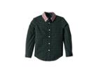 Polo Ralph Lauren Kids Tartan Cotton Poplin Shirt (toddler) (green Multi) Boy's Clothing