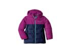 Columbia Kids Pike Laketm Jacket (little Kids/big Kids) (bright Plum/nocturnal/atoll) Girl's Coat