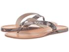 Dolce Vita Donn (snake Print Stella) Women's Shoes