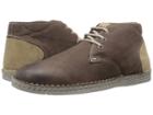 Steve Madden Railerr (brown Leather) Men's Lace Up Casual Shoes