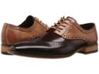 Stacy Adams Tinsley Wingtip Oxford (black/burgundy/tan) Men's Lace Up Casual Shoes