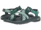 Chaco Z/volv 2 (nested Pine) Women's Shoes